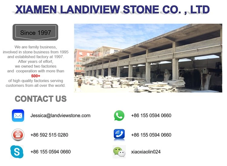 Landiview 01