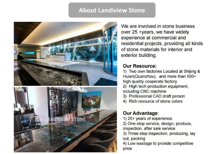 ABOUT LANDIVIEW