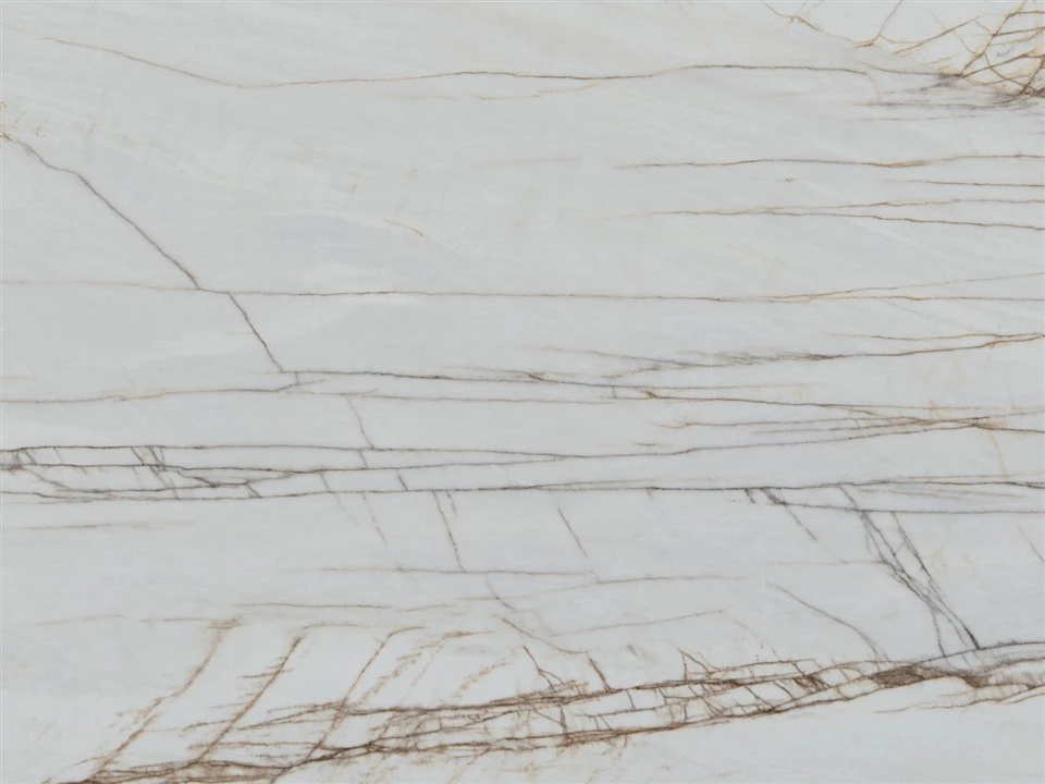 Dione Spider Marble Slab suppliers